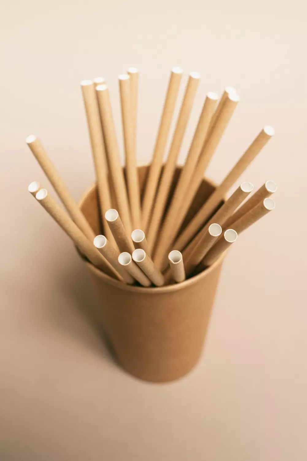 sorbetes biodegradables varios